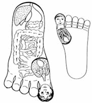 Su Jok: Im Mikrosystemen Jok (Fuß) kennt die koreanische Akupunktur bedeutsame Akupunkturpunkte.